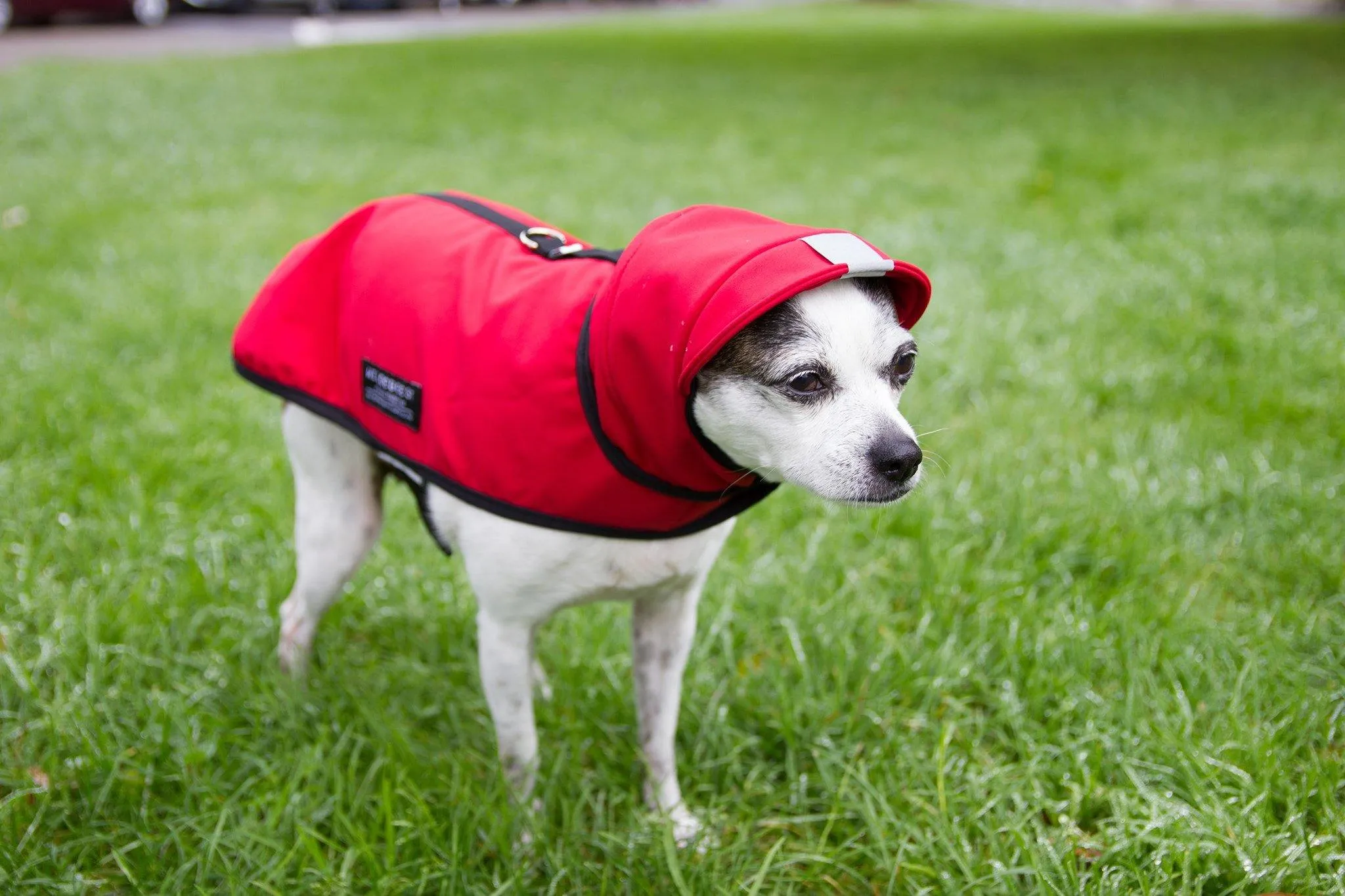 All Weather Dog Jacket