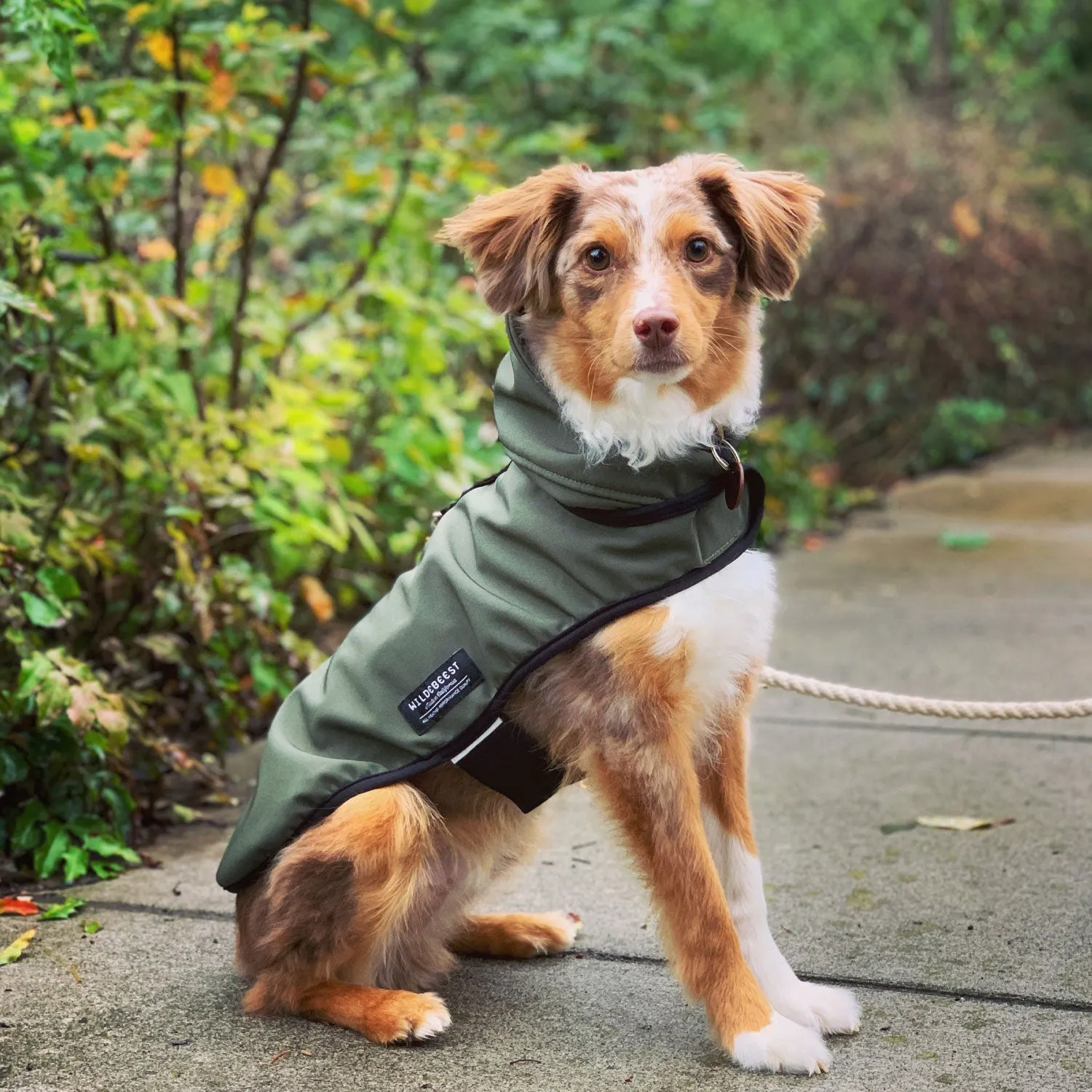 All Weather Dog Jacket