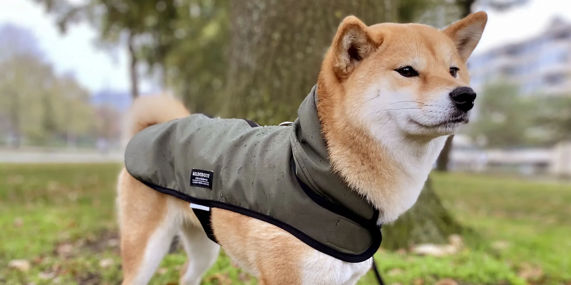 All Weather Dog Jacket