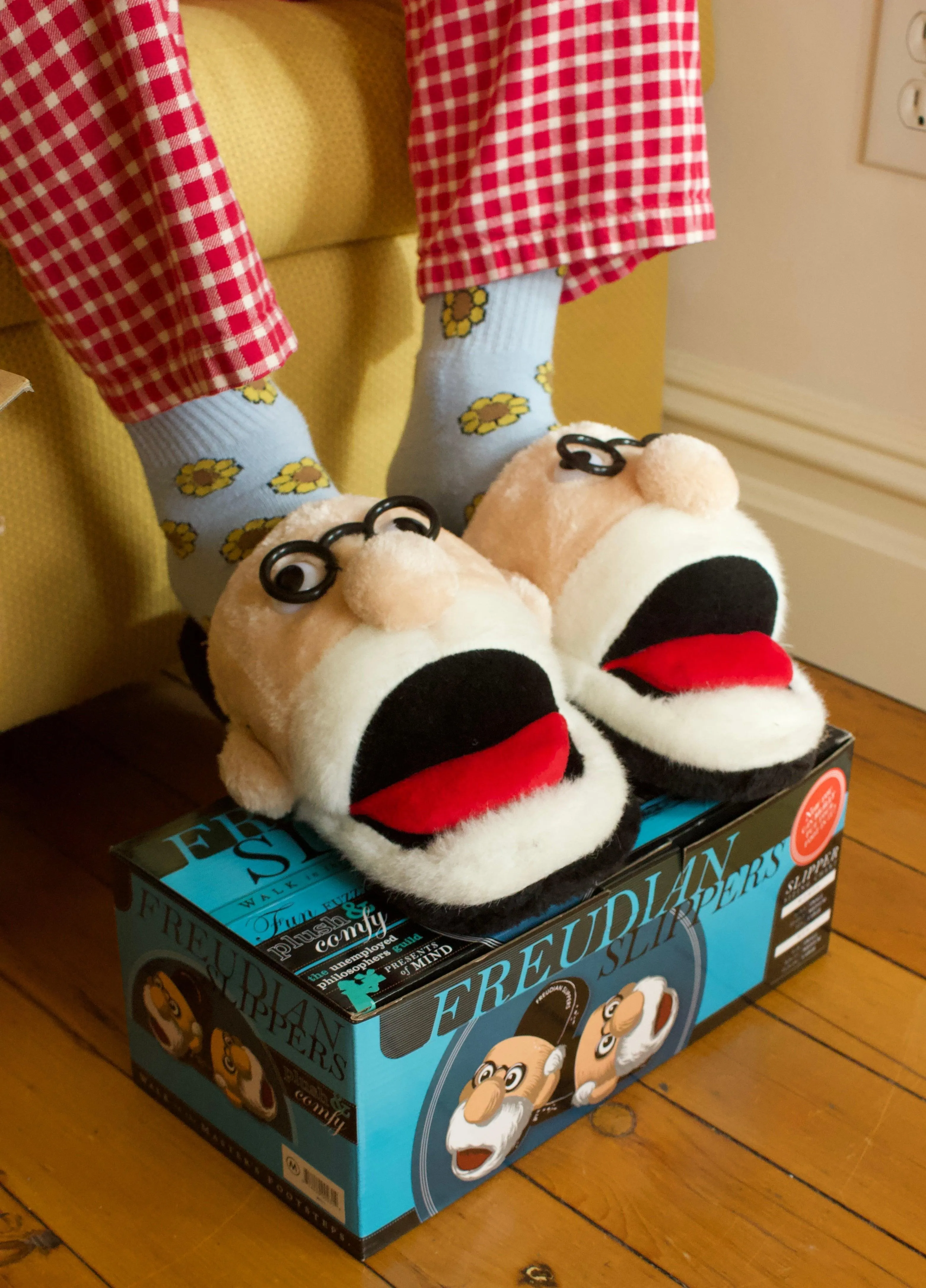 Freudian Slippers